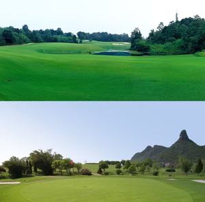 Nouvelle décoration <span class=keywords><strong>gazon</strong></span> choix longue durée de vie pelouse 100% perméabilité à l'eau tissé mettant l'herbe verte tapis <span class=keywords><strong>gazon</strong></span> artificiel rouleau - Product Image 6