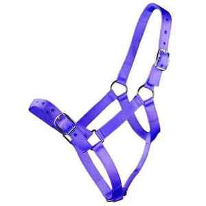 Cabestro Ajustable de Nailon para Caballos, Todas las Tallas, Resistente y Seguro, con Correa de Amarre, Corona Acolchada para la Nariz, Equipo Ecuestre Versátil - Product Image 3