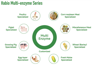 Enzima <span class=keywords><strong>Habio</strong></span> Multi Enzima NSP para Alimentación Animal, Ganado y Aves de Corral, Personalizada - Product Image 6