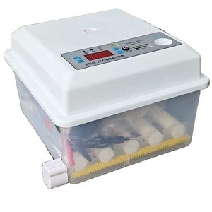 Điều khiển thông minh mini gà trứng lồng ấp thiết kế mới tự động mini gà trứng lồng ấp với động cơ thành phần cốt lõi - Product Image 1