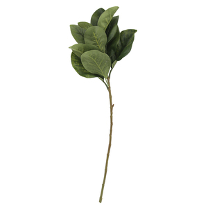 Magnolia <span class=keywords><strong>Leaf</strong></span> Export Flower Indoor Plant Green Wall Simulation Flower Micro Landscape Magnolia Flowers Artificial - Product Image 1