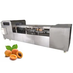 Automatic Apricot Kernel Removing Plum Pitter Pitting Destoner Seed Removing Core Remover Machine