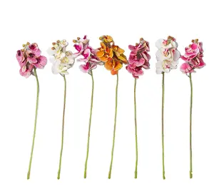 Amazon Hot Bruiloft Vakantie Decoratie Top Grade Lange Stem Real Touch Gedroogde Bloemen Kunstmatige Vlinder Orchidee