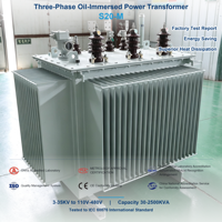 Transformateur de distribution immergé dans l'huile à noyau amorphe S20, ultra faible perte, 10-35 kV, triphasé, IEC60076, sur mesure