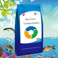 Bactéries de purification d'eau Bacillus Licheniformis à haute activité pour l'élevage de crevettes et de poissons
