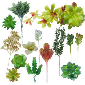 Fai da te artificiale Live <span class=keywords><strong>Mini</strong></span> Bonsai pianta <span class=keywords><strong>succulente</strong></span> piante <span class=keywords><strong>succulente</strong></span> artificiali con vasi assortimento <span class=keywords><strong>succulente</strong></span> artificiale <span class=keywords><strong>Mini</strong></span> - Product Image 4