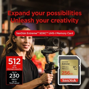 High Performance <b>Card</b> 256GB for Extreme UHS-I <b>Memory</b> QXA1/ QUAR/ QXCZ/ QXFN/ QQNR Serie Longyexing - Powering Global <b>Memory</b> & St - Product Image 2