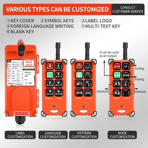 Control remoto industrial inalámbrico de radio grúa resistente a caídas y aplastamientos, <span class=keywords><strong>todo</strong></span> para su uso - Product Image 3