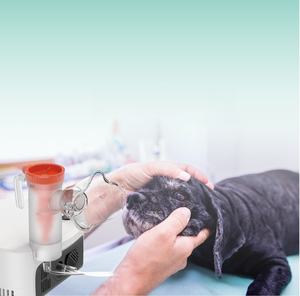 USMILEPET grosir <span class=keywords><strong>Nebulizer</strong></span> hewan peliharaan, mesin <span class=keywords><strong>Nebulizer</strong></span> medis hewan peliharaan untuk kucing anjing - Product Image 5