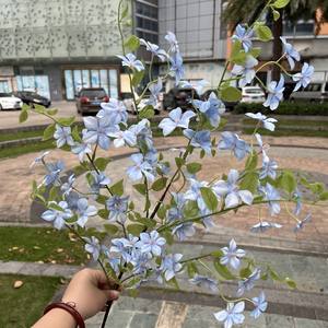 Nuovi <span class=keywords><strong>Fiori</strong></span> Artificiali Qilixiang in Seta <span class=keywords><strong>Viola</strong></span> e Blu, Lunga Durata 3-5 Anni, Decorazione per <span class=keywords><strong>Giardino</strong></span>, Matrimoni e Eventi, Vendita all'Ingrosso - Product Image 6