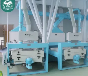 Big scale 300tons per 24hours wheat flour milling machinery High output wheat flour mill plant