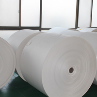 Papier d'emballage spécial de qualité alimentaire, résistant à l'humidité, de marque Zhejiang SINOSEA, en pâte de bois vierge PE, non couché, offset