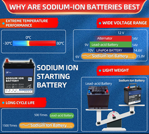 แบตเตอรี่โซเดียมไอออนรุ่นใหม่ YCST-NA1260-S 12.4V 60Ah 3000-Cycle 744Wh พลังงานต่อหน่วยความจุสูง SIB สำหรับสตาร์ทรถยนต์ EV ได้รับการรับรองมาตรฐาน RoHS - Product Image 6