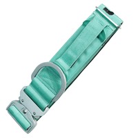 Collier pour chien en nylon vert clair réglable avec rubans, design moderne, tissu rembourré confortable, boucle en alliage d'aluminium argenté avec anneau en D pour