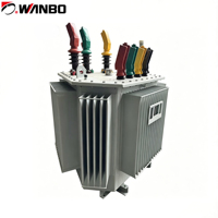 Bobine de cuivre étanche à l'huile Wanbo-109 conforme à la norme IEC, triphasée 50/60Hz, avec option de bobinage en aluminium