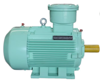 Moteur asynchrone triphasé entièrement fermé EXCN YBBP IE3 22KW 400-480V 5-50Hz à vitesse variable IC416, montage sur pied, non
