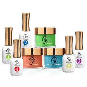 Custom Private Label 1600 Colors Use 3 In 1 Nail Acrylic Powder And Liquid Perfect Match Gel Polish