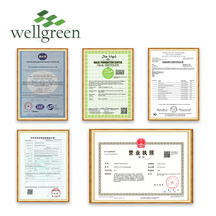 Wellgreen Freeze Nước Khô Số Lượng Lớn Nhà Cung Cấp Chiết Xuất Bột Dừa Tinh Khiết