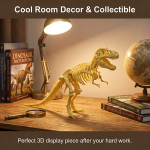 Kit de Excavación de Fósiles de Dinosaurios, Juguetes Educativos STEM de Arqueología y Ciencia, Set de Excavación de Huesos de Dinosaurio DIY, Modelo de Esqueleto de T-Rex 3D, Caja Personalizada - Product Image 4