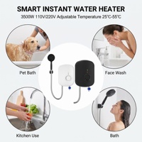 Chauffe-eau instantané électrique sans réservoir 110-220V 3500W, élément chauffant en acier inoxydable et plastique, affichage LED, IPX4, pour hôtel et camping-car