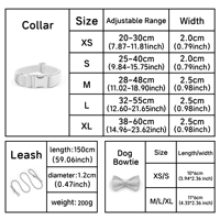 Ensemble collier et laisse pour chien élégant à imprimé léopard avec logo personnalisé, nœud papillon détachable et laisse en corde assortie – Accessoires premium pour la promenade des chiens