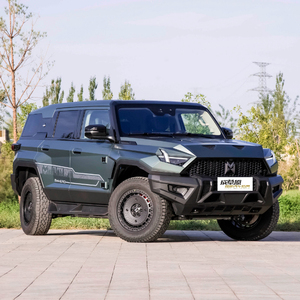 Mengshi m Terrain