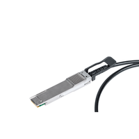 Cable DAC de Cobre QSFP56 de 200G para Actualización de Red de Enlace de Gabinete de Centro de Datos de Computación en la Nube 5G POE de Alta Ancho de Banda y Antiinterferencias