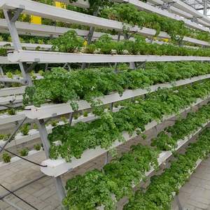 Système hydroponique professionnel NFT en forme de A, canal en PVC de qualité alimentaire, culture avec pompe, fabricant - Product Image 6