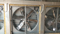 Cage à poulets de type H pour poules pondeuses, cage pour volailles, élevage avicole