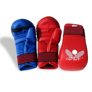 Guantes de Artes Marciales de Alta Resistencia - Mitones de Karate con Cobertura Total, Protectores de Manos para Taekwondo - Product Image 1