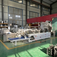 Machine à étaler la pâte pour la production de nouilles fraîches, idéale pour les services de restauration, type rouleau pour la transformation des nouilles de blé