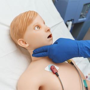 MEDVISION ARTHUR Simulador de Entrenamiento con Maniquí Anatómico de Silicona para Ciencias Médicas con Certificación CE - Product Image 4