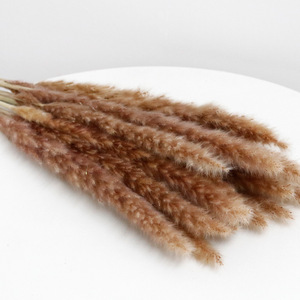 Herbe de la Pampa séchée de 60 cm pour la vente au détail, décoration artificielle en herbe de la Pampa - Product Image 6