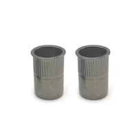 Terlaris mur paku keling kepala terbenam M3 M4 M5 M6 M8 M10 M12 kepala datar Knurled berulir kacang keling buta