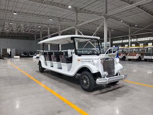 Voiture de tourisme personnalisée, voiture de balade sur mesure, prix usine, voiture vintage, véhicule de tourisme à basse vitesse, couleur personnalisée, batterie 60V 100AH - Product Image 3