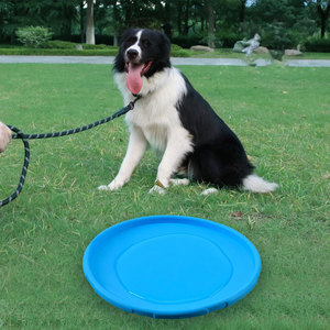 Joypet Chiens Flying Disc Training Interactive Puppy Flyer Léger Soucoupe Flottant Disques Jouets d'entraînement pour le sport en plein air - Product Image 5