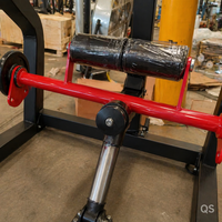 Appareil Commercial 2-en-1 à Charge de Plaques pour Abdominaux Assis et Extensions Dorsales – Équipement de Fitness pour le Renforcement du Tronc
