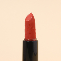 Différents types de rouge à lèvres de haute qualité sculptés de votre propre marque rouge à lèvres mat