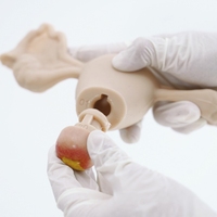 Simulateur gynécologique avancé avec modèle d'entraînement médical à l'anatomie réaliste pour la pose d'un DIU et l'examen laparoscopique