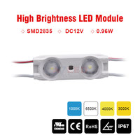 Bestseller ADLED 2835 SMD Super luminosité 0,96W IP67 Module LED étanche pour usage extérieur et intérieur Dimmable Garantie 5 ans