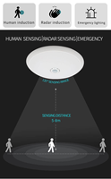 Lampu Panel LED 18W 300mm dengan Sensor Gerak Manusia Microwave Radar & PIR, Lampu Plafon Tempel Permukaan Bulat untuk Penerangan Kantor & Hotel