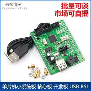 บอร์ดพัฒนา MSP430F149พร้อมโมดูล USB BSL Downloader Core สำหรับโครงการแบบฝัง - Product Image 5