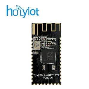 Holyiot nRF51822 Ble 모듈 Iot 솔루션 Ble 5.0 모듈 블루투스 송신기 및 수신기 모듈