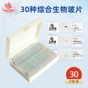 Biological slides containing 30 kinds of freshly collected specimens of plants, animals, and insects, suitable for <b>microscope</b> - Product Image 2