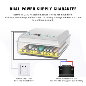 New <span class=keywords><strong>Mini</strong></span> Lồng Ấp Gà Trang Trại 64 Trứng Lồng Ấp Cho Bán Gà <span class=keywords><strong>Mini</strong></span> Lồng Ấp Nhà - Product Image 6
