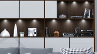 VST 12V Mini LED Luminaire d'armoire encastré pour meubles Spot sous armoire Showcase Downlight Silver