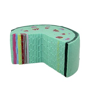 Modèle de tige de plante dicotylédonée, plante herbacée, instrument pédagogique de biologie pour collège, section cellulaire végétale - Product Image 4