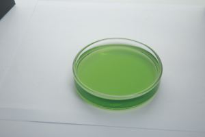 Acide aminé chélaté Ca Calcium Fe Fer Mg Magnésium Mn Cu Cuivre Zn Zinc oligo-élément Engrais en poudre - Product Image 2