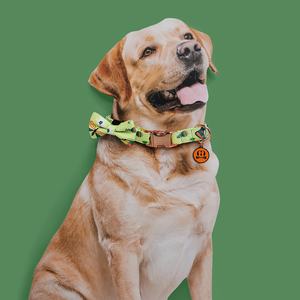 MIDEPET-Collar personalizado con forma de libélula para perro, gargantilla de lujo con lazo, bonito, QT - Product Image 2