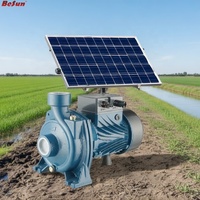 Pompe à eau solaire BESUN BY-DCHF-550W, pompe à eau souterraine à un étage, irrigation agricole, abreuvement du bétail, MOQ 1 ensemble pour les Philippines